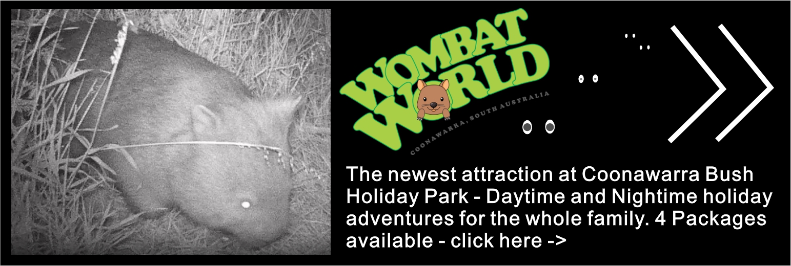Wombat World