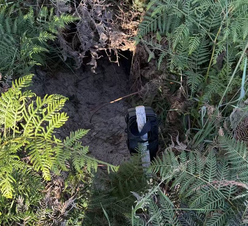 A trail camera set in the bush at Coonawarra Bush Holiday Park